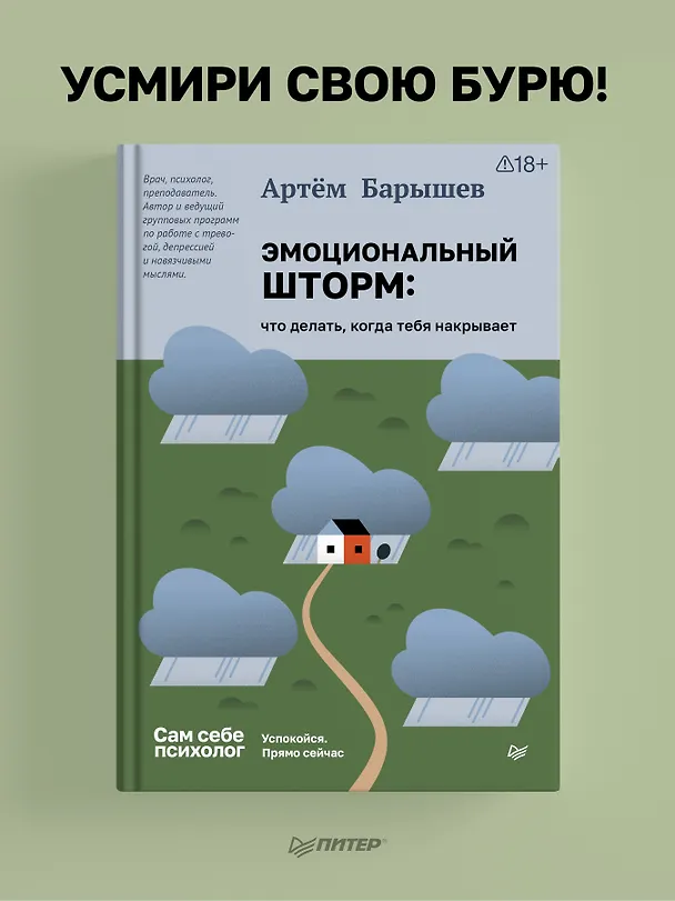 Книга Эмоциональный шторм: что делать, когда тебя накрывает. Успокойся. Прямо сейчас (Артем Барышев) — 3