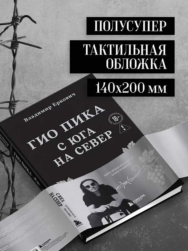 Книга Гио Пика: с юга на север. Авторизованная биография (Владимир Еркович) — 12