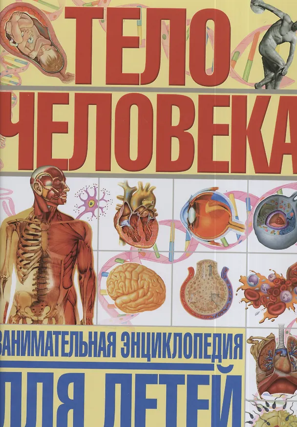 Книга Тело человека. Занимательная энциклопедия для детей (Гуиди Винченцо) — 1