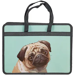 Папка для тетрадей «Мопс», А4 249545