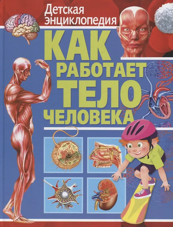 Книга Как работает тело человека. Детская энциклопедия () — 1