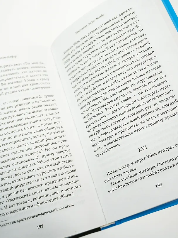 Книга Его запах после дождя (Седрик Сапен-Дефур) — 15