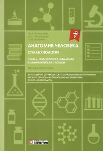 Анатомия человека. Спланхнология. Часть 6. Эндокринная, иммунная и лимфатическая системы. Тетрадь-практикум