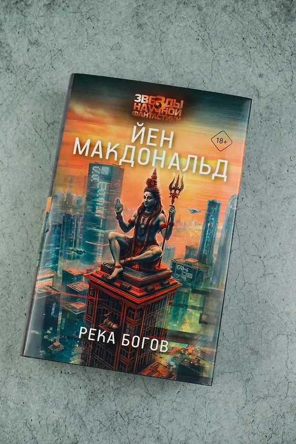 Книга Река богов (Йен Макдональд) — 6