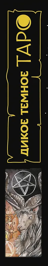 Книга The Wild Dark Tarot / Дикое Темное Таро (Кэтти Флёр) — 3