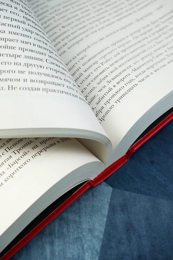 Книга Боже, храни Пепа. Пеп Гвардиола (Марти Перарнау) — 12