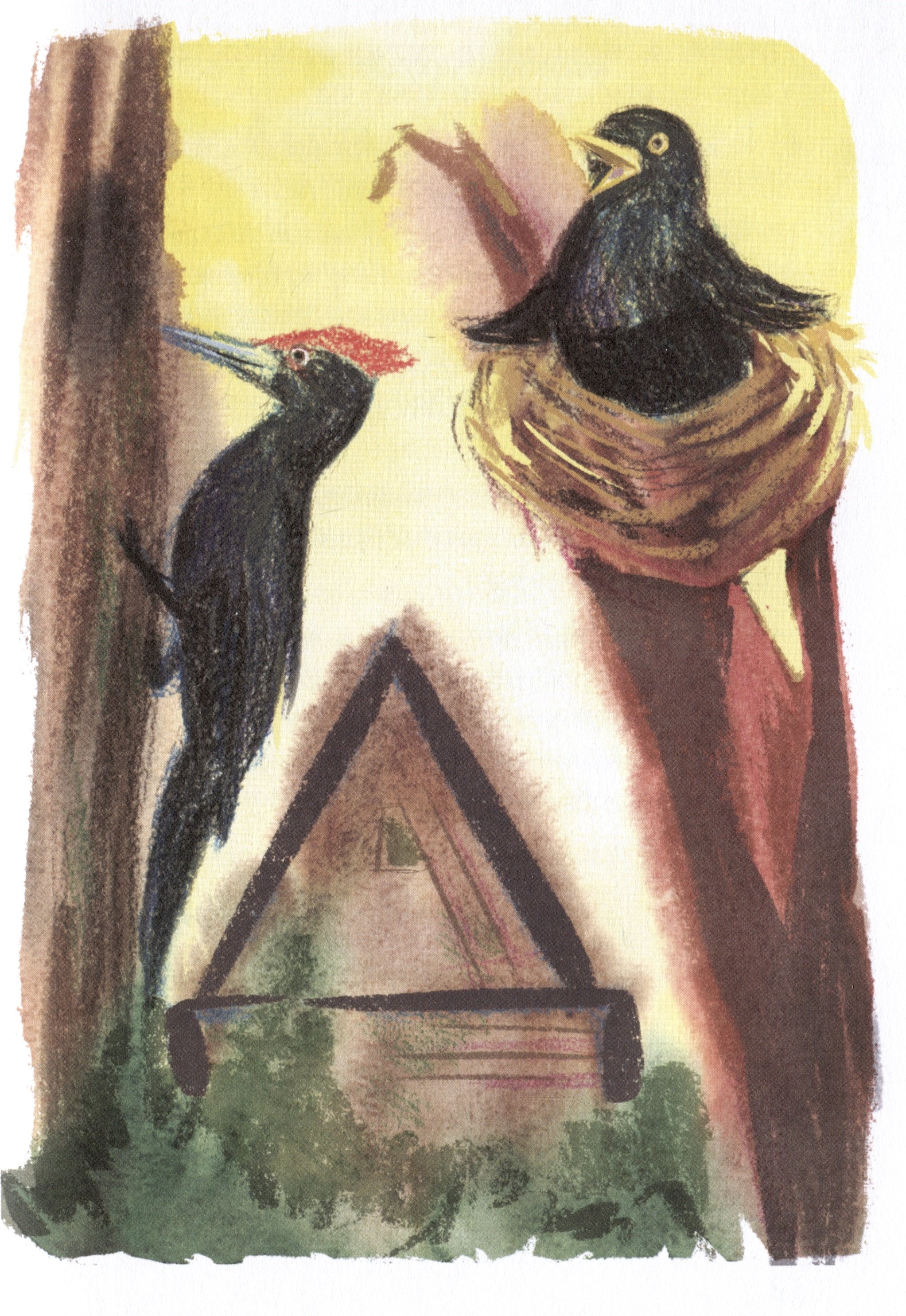 Изображение бумажной книги