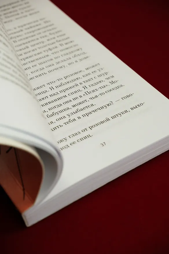 Книга Порез (Патрисия Маккормик) — 15