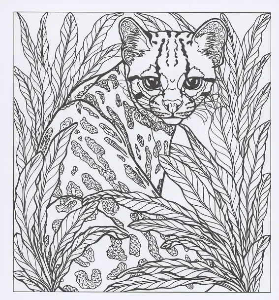 Книга Релакс-раскраска. Магия кошек () — 4