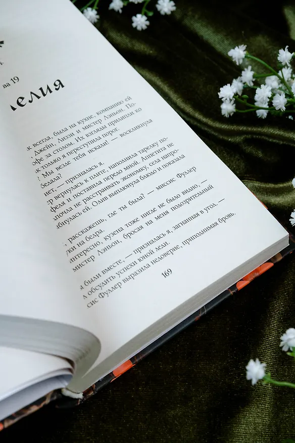 Книга В отражении тебя (Моник Сиси) — 11