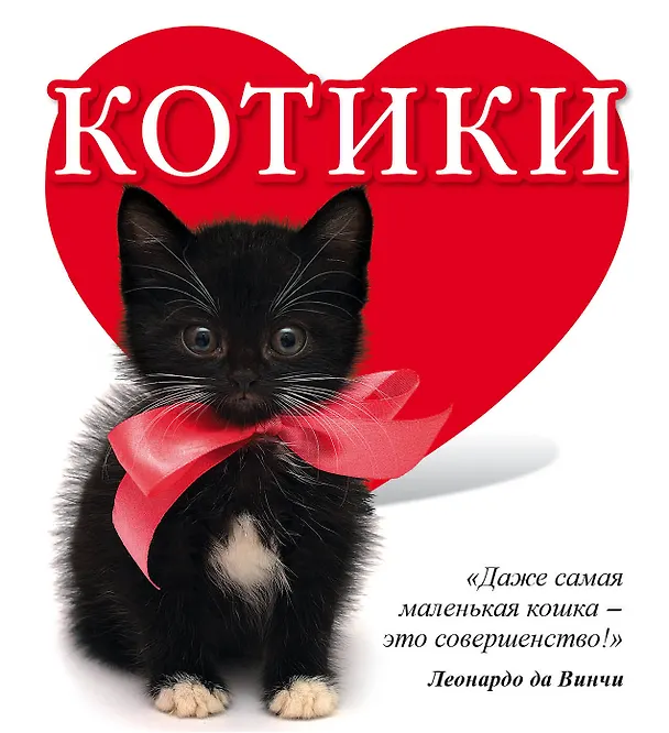 Книга Котики (Евгения Гюнтер) — 1