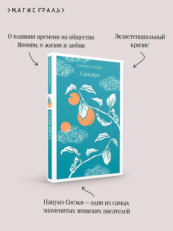 Книга Сансиро (Сосэки Нацумэ) — 10