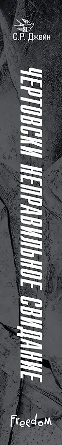 Книга Чертовски неправильное свидание (#3) (С. Р. Джейн) — 4