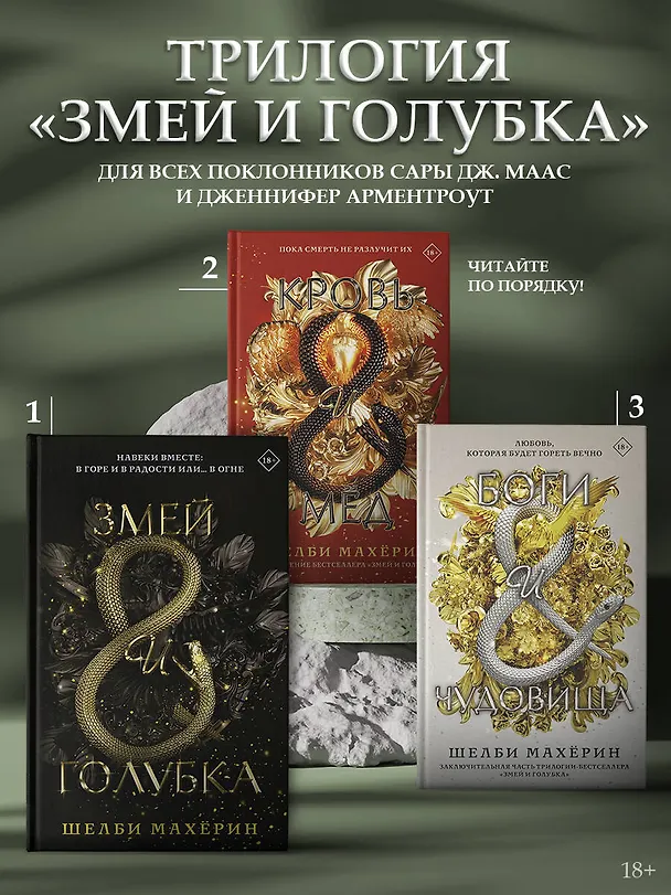Книга Боги и чудовища (Шелби Махёрин) — 6