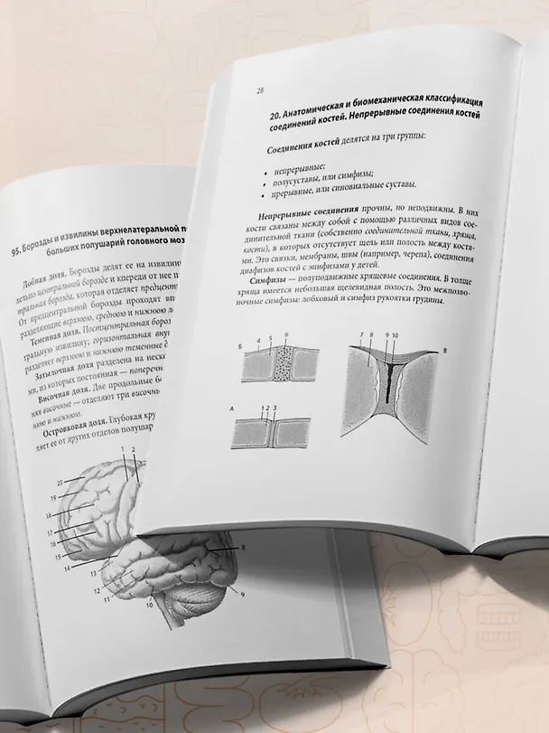 Книга Тетрадь-шпаргалка по анатомии (Елена Зигалова, Габриэль Билич) — 9