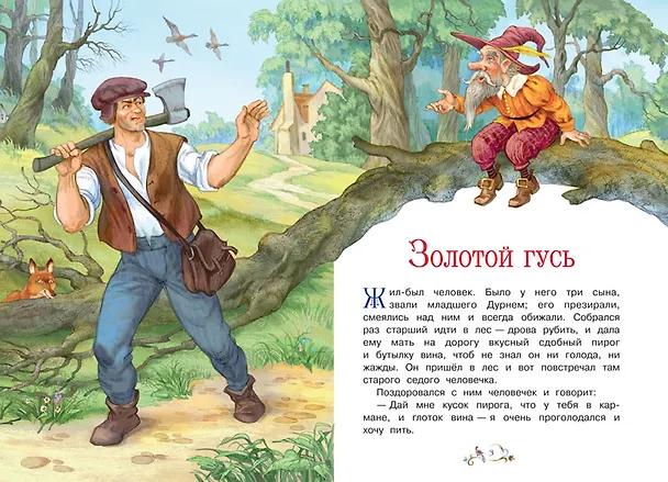 Книга Золотой гусь (Кэрин Гримм) — 2