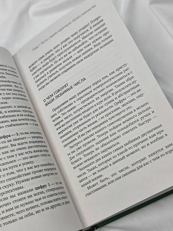 Книга Нумерология. Top Masters. Информация, которую Вселенная передает через числа (Лаура Штайн) — 13