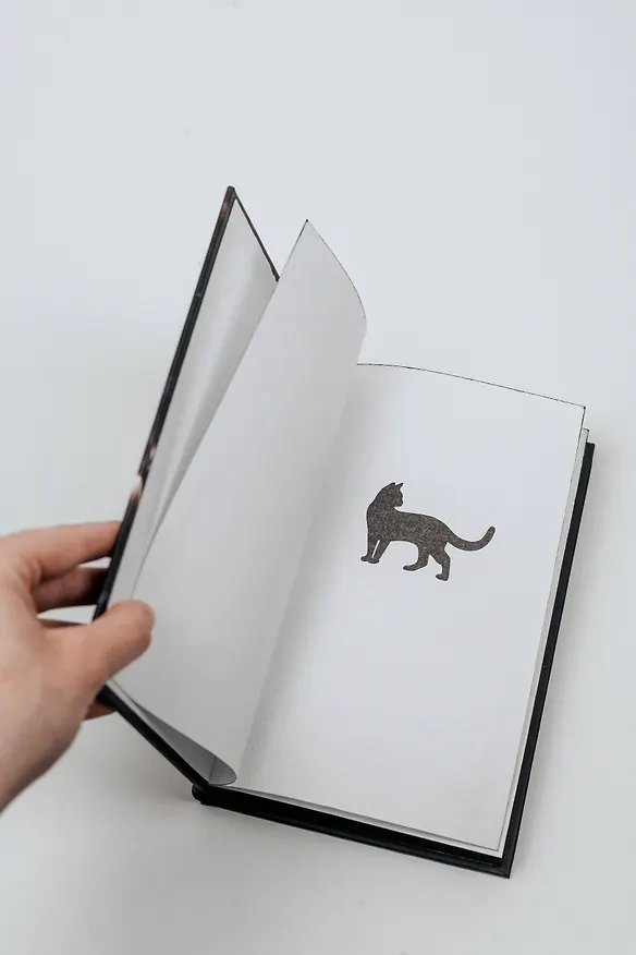 Книга Белая кошка (Холли Блэк) — 9