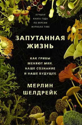 Запутанная жизнь. Как грибы меняют мир, сознание и будущее — 2861931 — 1