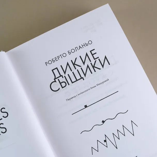Книга Дикие сыщики (Роберто Боланьо) — 9