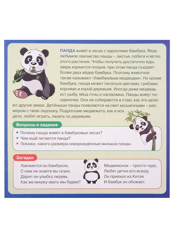 Книга Развивающие карточки для детей. Животные мира (20 карточек) () — 4