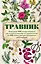 Травник. Описание 300 лекарственных растений и способы их применения от 100 самых распространенных заболеваний — 2470060 — 1