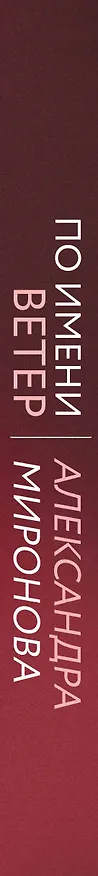 Книга По имени Ветер: роман (Александра Миронова) — 3