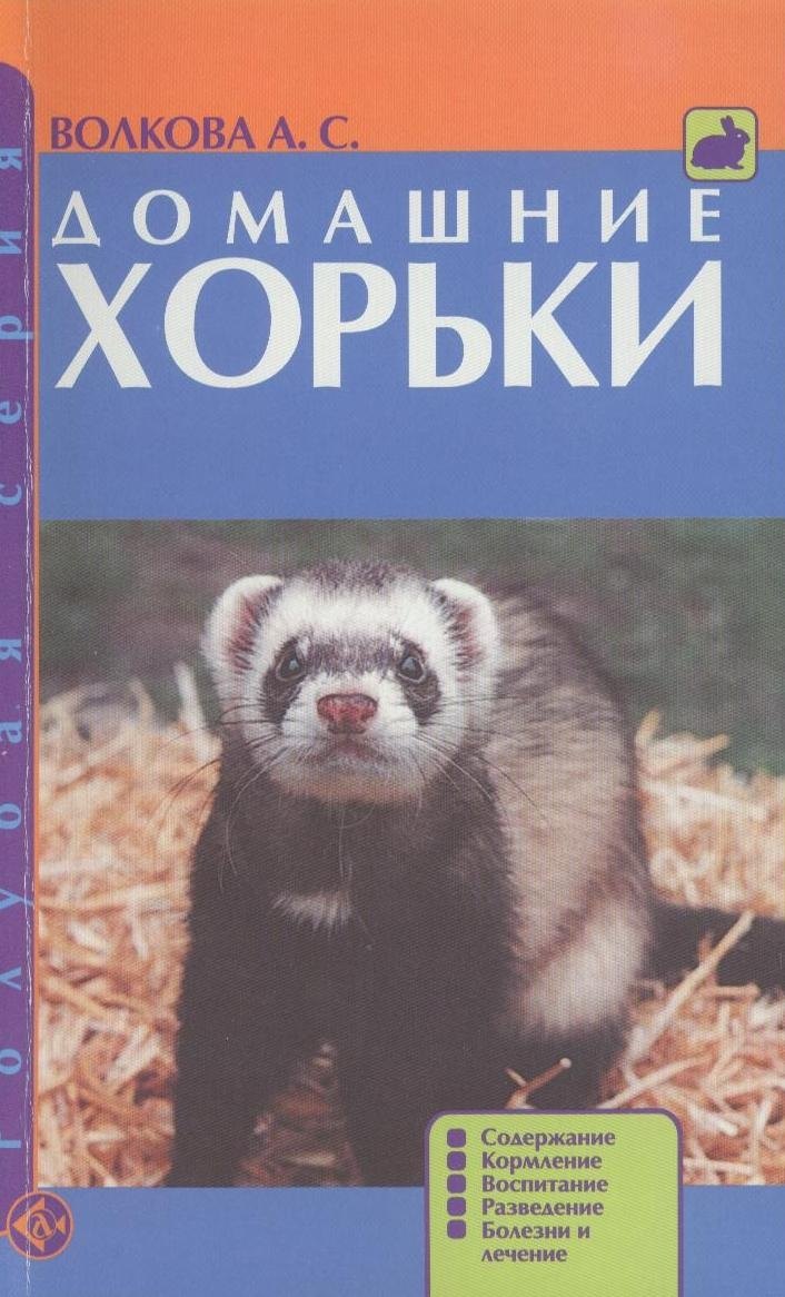 Домашние хорьки. Содержание.Кормление.Воспитание