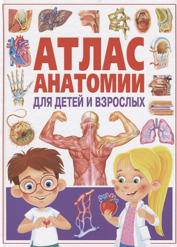 Книга Атлас анатомии для детей и взрослых () — 1