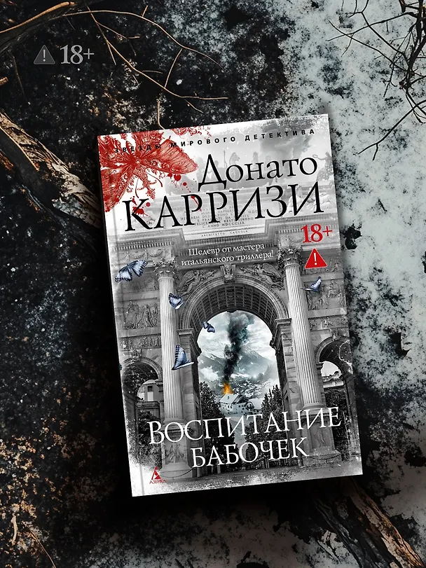 Книга Воспитание бабочек (Донато Карризи) — 14