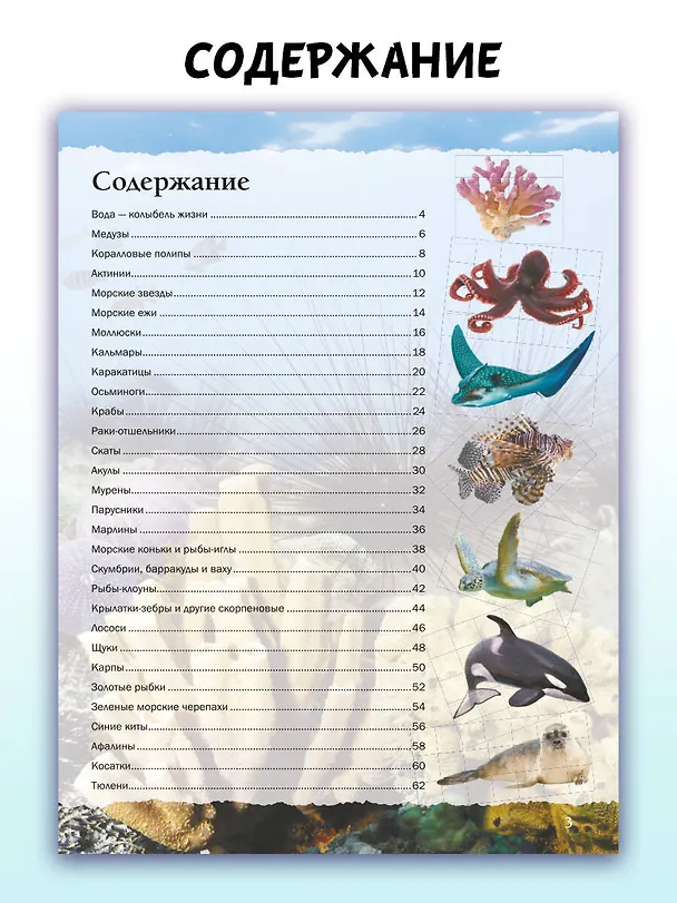 Книга Подводный мир (Анна Спектор) — 7