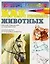 Как рисовать животных: Общие сведения о рисовании. Материалы и способы работы — 2090450 — 1