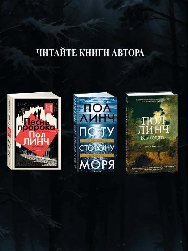 Книга Благодать (Пол Линч) — 13