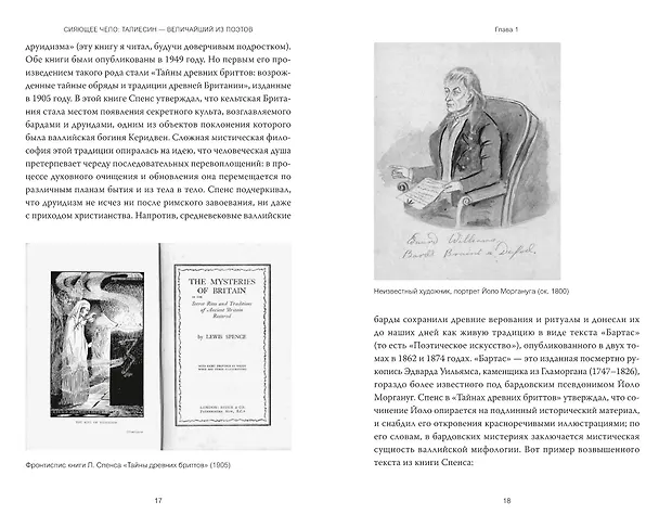 Книга Кельты. Мифология, сформировавшая наше сознание (Марк Уильямс) — 7