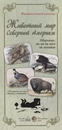 Животный мир Северной Америки. Обычные, но ни на кого не похожие — 2679007 — 1