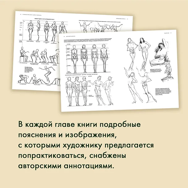 Книга Рисование фигуры (Эндрю Лумис) — 7