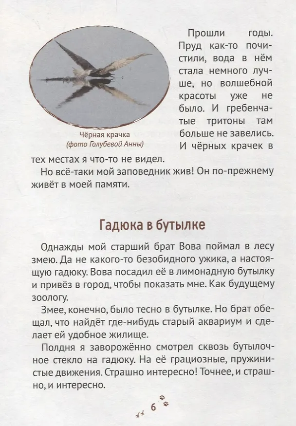 Книга Пряники для слона () — 3