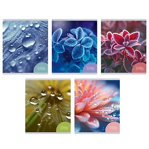 Тетрадь в клетку Listoff, "Красота природы", 48 листов, в ассортименте