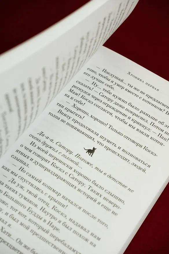 Книга Хроники странствующего кота (Хиро Арикава) — 16
