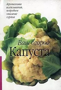 Капуста — 1904715 — 1