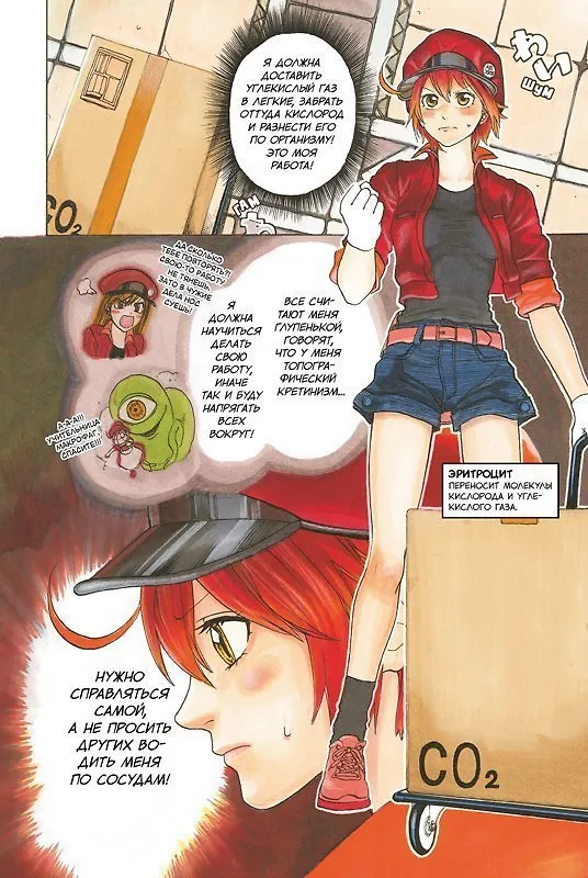 Клетки за работой. Том 2 (Hataraku Saibou). Манга 3093214 — 2