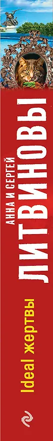 Книга Ideal жертвы: роман (Сергей Литвинов, Анна Литвинова) — 3