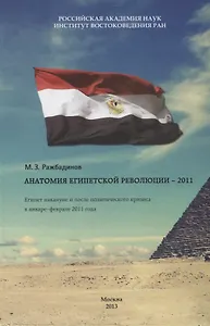 Анатомия египетской революции - 2011. Египет накануне и после политического кризиса в январе - феврале 2011 года