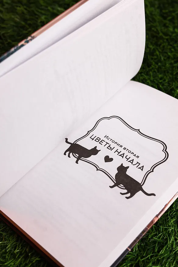 Книга Она и ее кот. Ранобэ (Макото Синкай, Наруки Нагакава) — 10