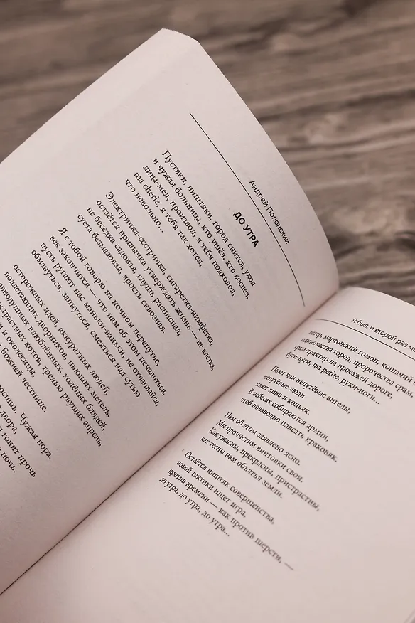 Книга Я был, и второй раз меня не будет (Андрей Полонский) — 13