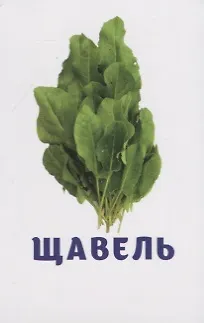 Книга Овощи и зелень. Развивающие карточки () — 4