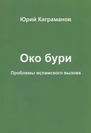 Око бури. Проблемы исламского вызова — 2768035 — 1