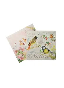 Набор салфеток для декупажа Птицы (НСД2144) (2шт) (упаковка)