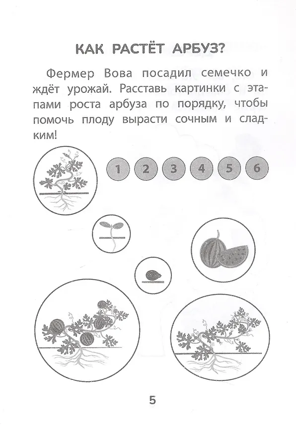 Книга Прятки с природой: готовимся к школе () — 4