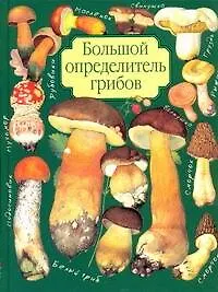 Книга Большой определитель грибов (Александр Юдин)